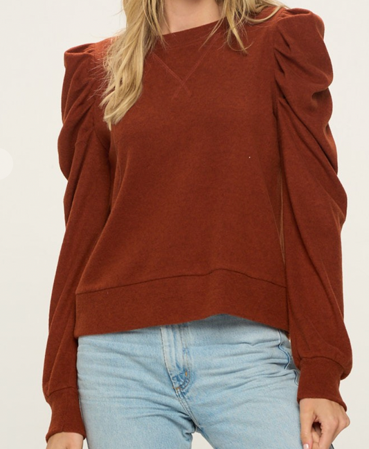 Pleated Sleeves Knit Top
