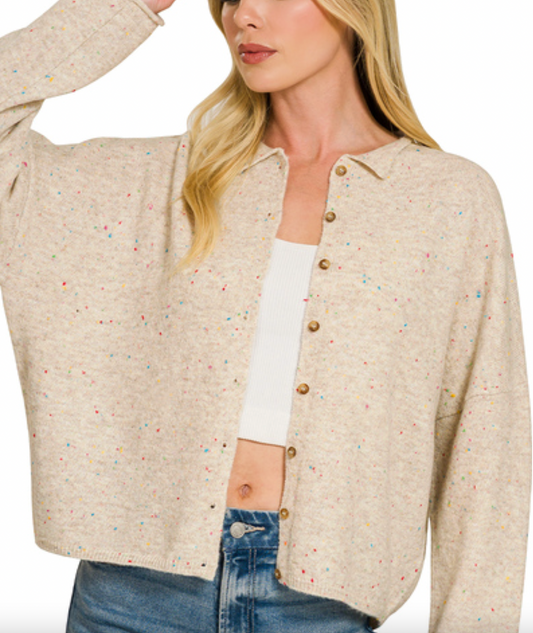 Collared Button Down Sweater